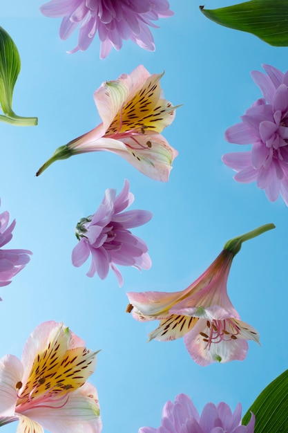 Flowers against the sky