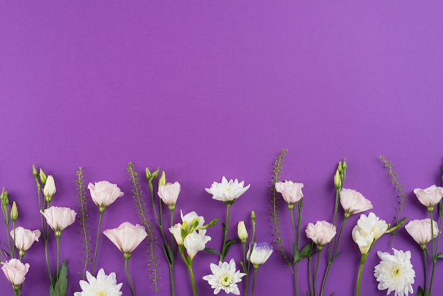 Free photo flowers background copy space