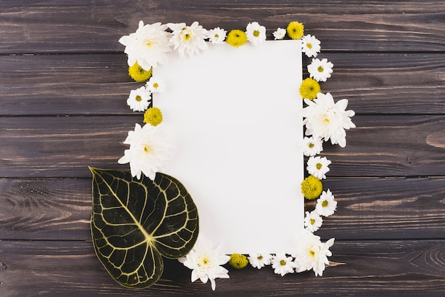 Free photo flowers background copy space