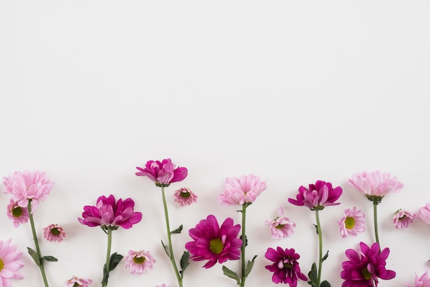 Flowers background copy space