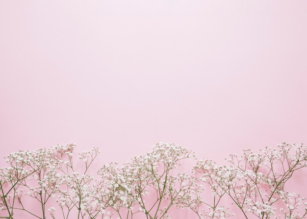 Free photo flowers background