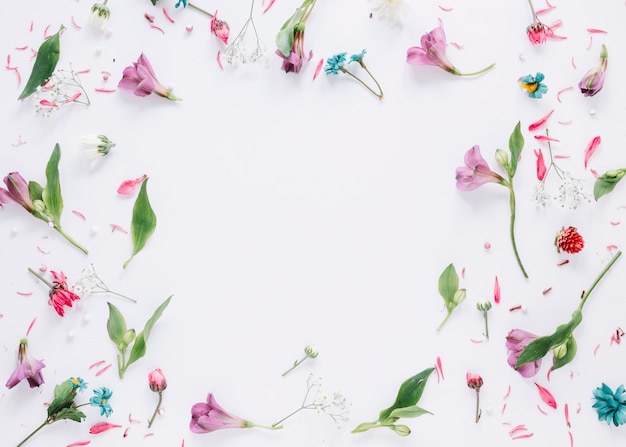 Free Photo flowers background