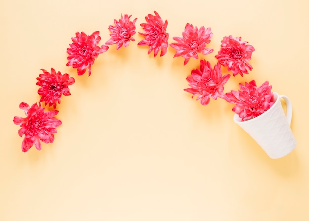 Free photo flowers background