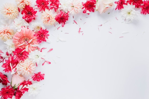 Flowers background