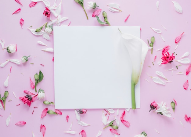 Free photo flowers background