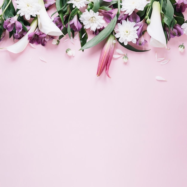 Free Photo flowers background