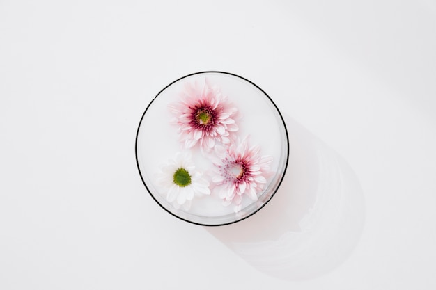 Free photo flowers in bowl