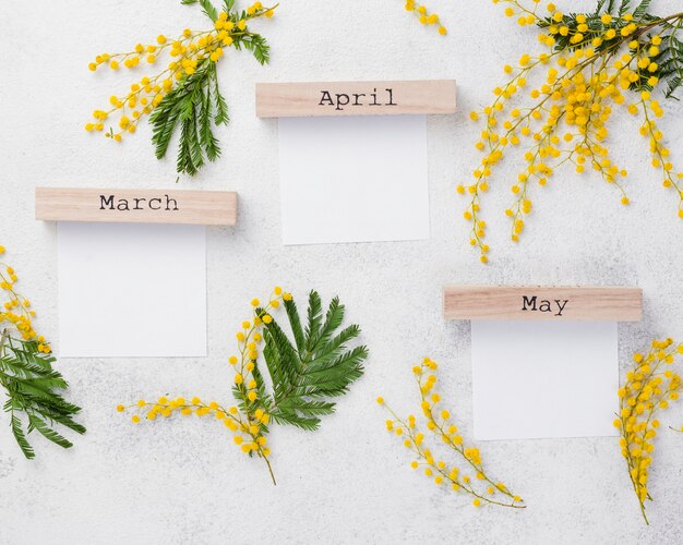 Flowers branches and spring months