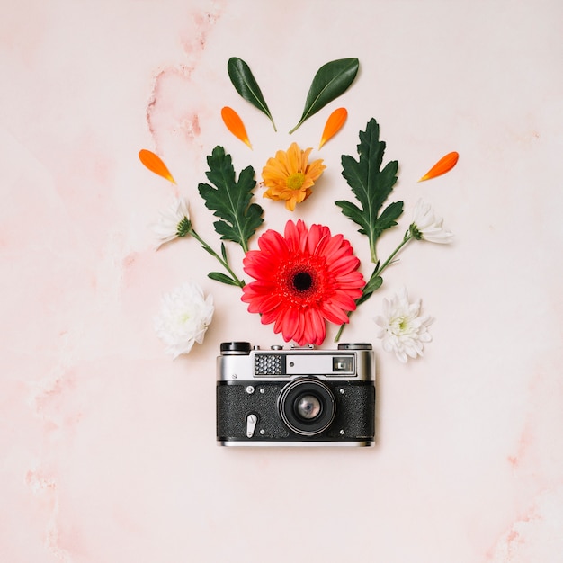 Free Photo flowers buds with camera on table 