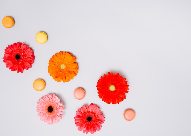 Flowers buds with cookies on table 