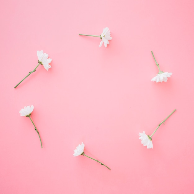 Flowers forming circle