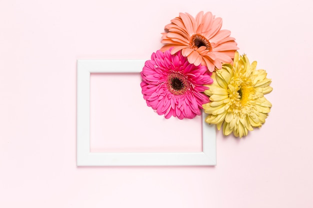 Free Photo flowers and frame