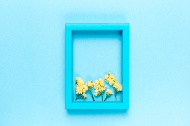 Free photo flowers and frame