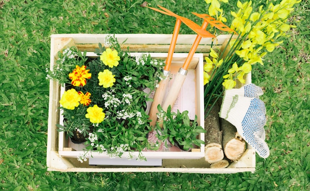 Free Photo flowers and garden equipment in wooden box