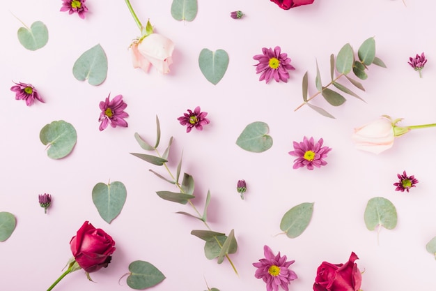 Flowers and green leaves on pink background