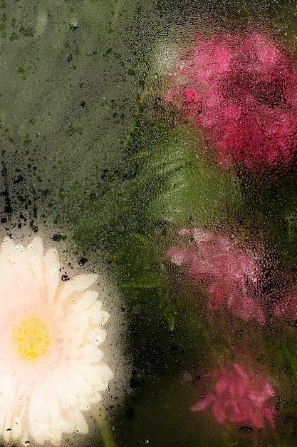 Free Photo flowers behind humidity glass