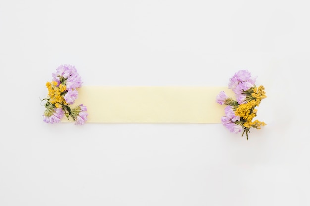 Flowers near paper strip