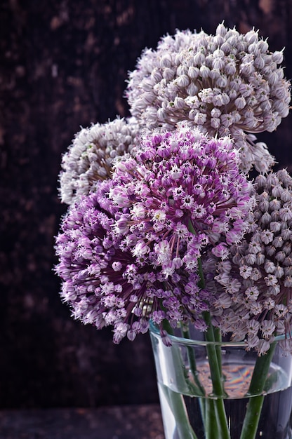 Free Photo flowers onion on old wood