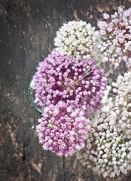 Flowers onion on old wooden table