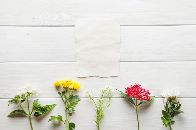 Flowers and page