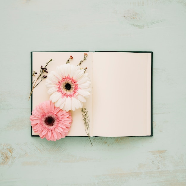 Free photo flowers on pages of notebook