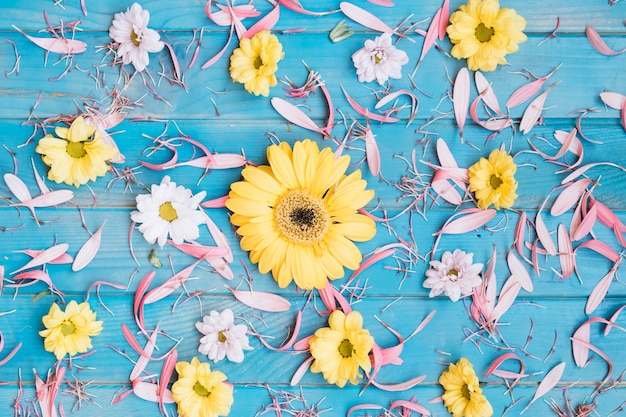 Flowers placed on petals