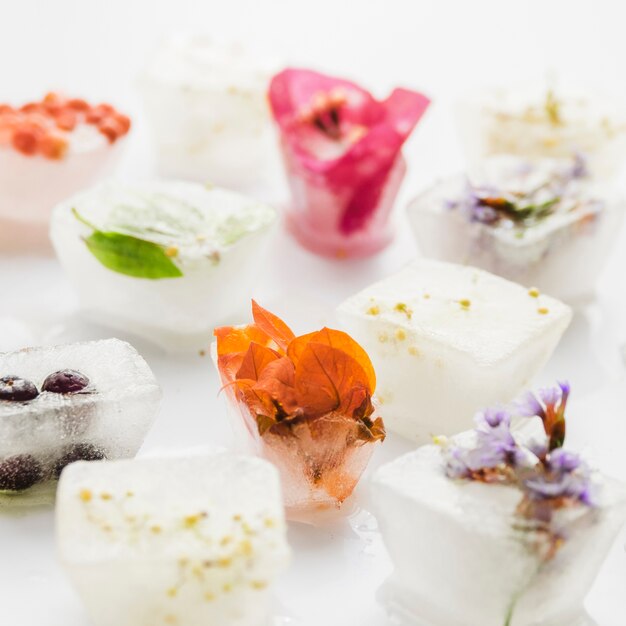 Flowers and plants in ice cubes