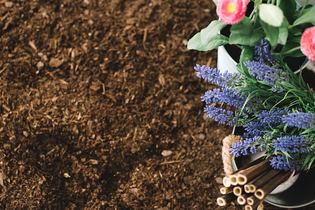 Free photo flowers on soil and space on left