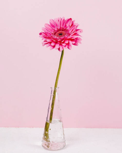 Flowers in a vase