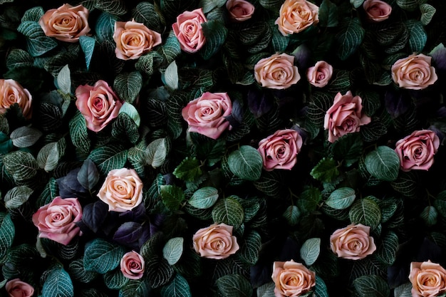 Free photo flowers wall background with amazing pink and coral roses