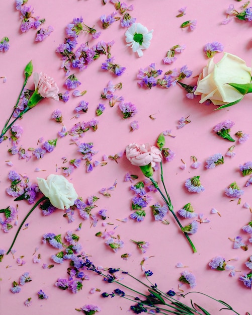 Flowers with purple petals on pink background