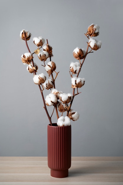 Free photo fluffy cotton plant in vase used in interior decor