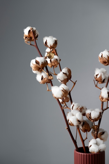 Free photo fluffy cotton plant in vase used in interior decor