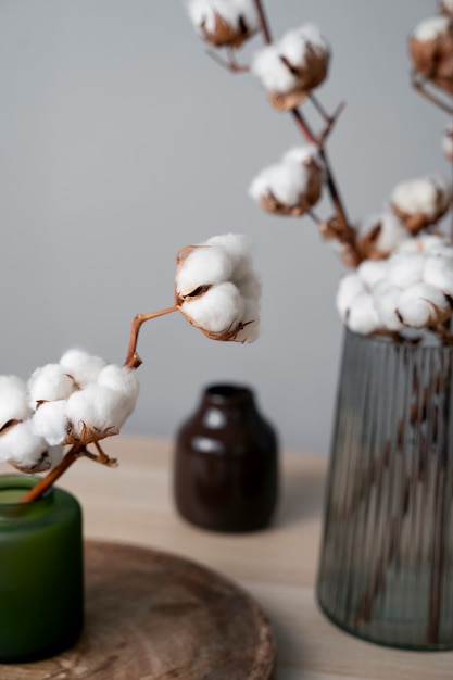 Free photo fluffy cotton plant in vase used in interior decor