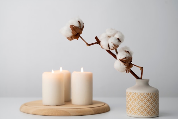 Free photo fluffy cotton plant in vase used in interior decor