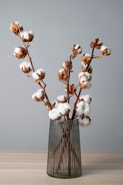 Free photo fluffy cotton plant in vase used in interior decor