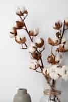 Free photo fluffy cotton plant in vase used in interior decor