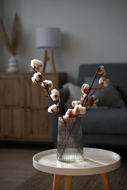 Fluffy cotton plant in vase used in interior decor