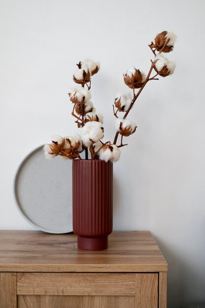 Fluffy cotton plant in vase used in interior decor