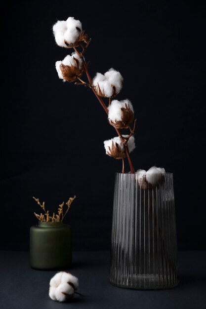 Fluffy cotton plant in vase used in interior decor