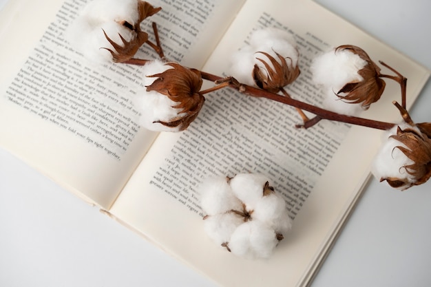 Free Photo fluffy cotton plant with buds