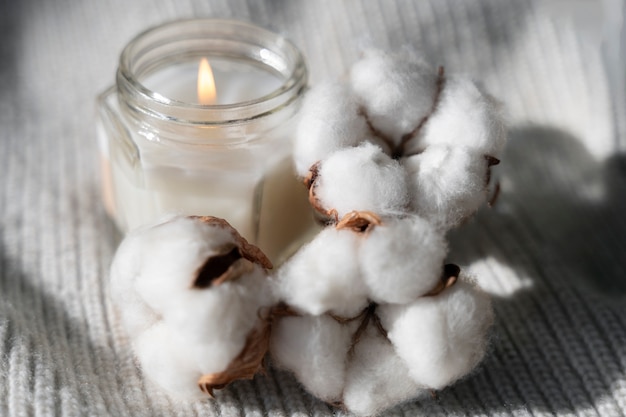 Free Photo fluffy cotton plant with buds