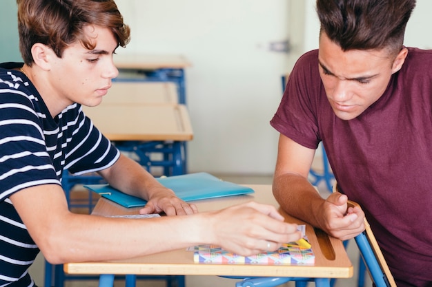 Free Photo focused schoolmates learning