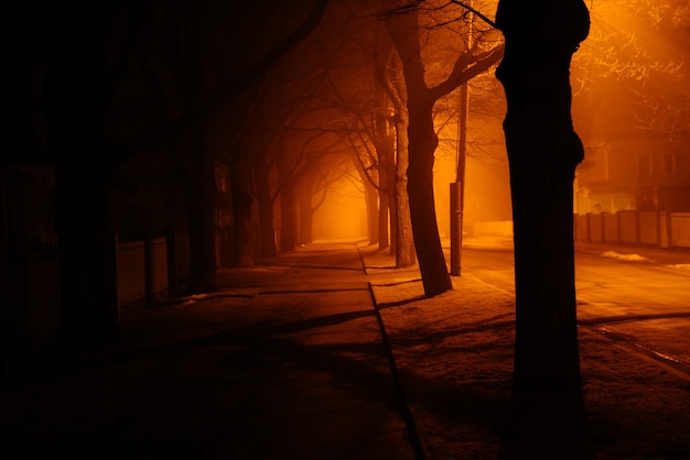 Foggy autumn night