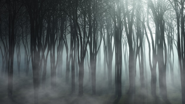 Free Photo foggy forest landscape