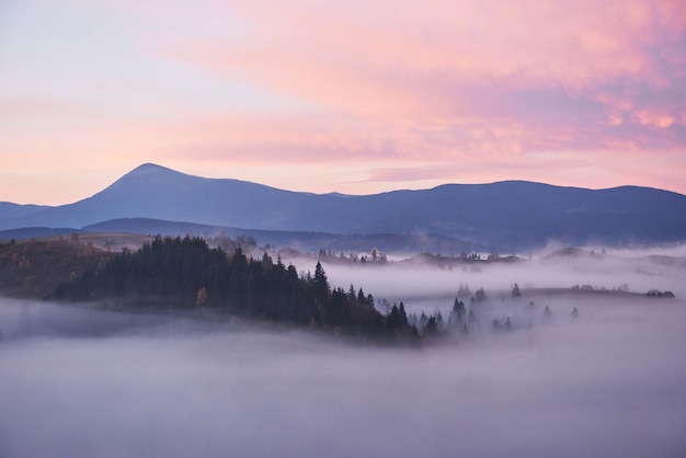 Free photo foggy morning in the ukrainian carpathian mountains in the autumn season.