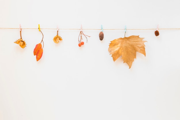 Foliage hitched on string 