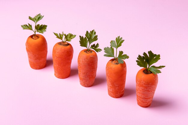 Food concept group with carrots