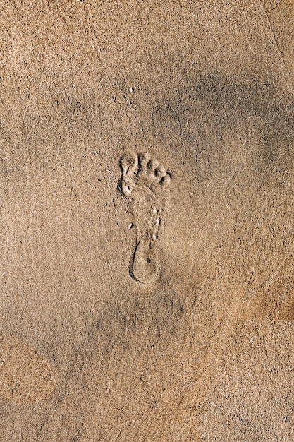 Free Photo foot print on the beach