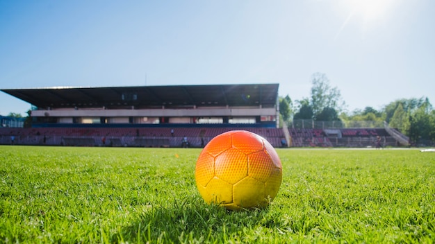 Free photo football on grass